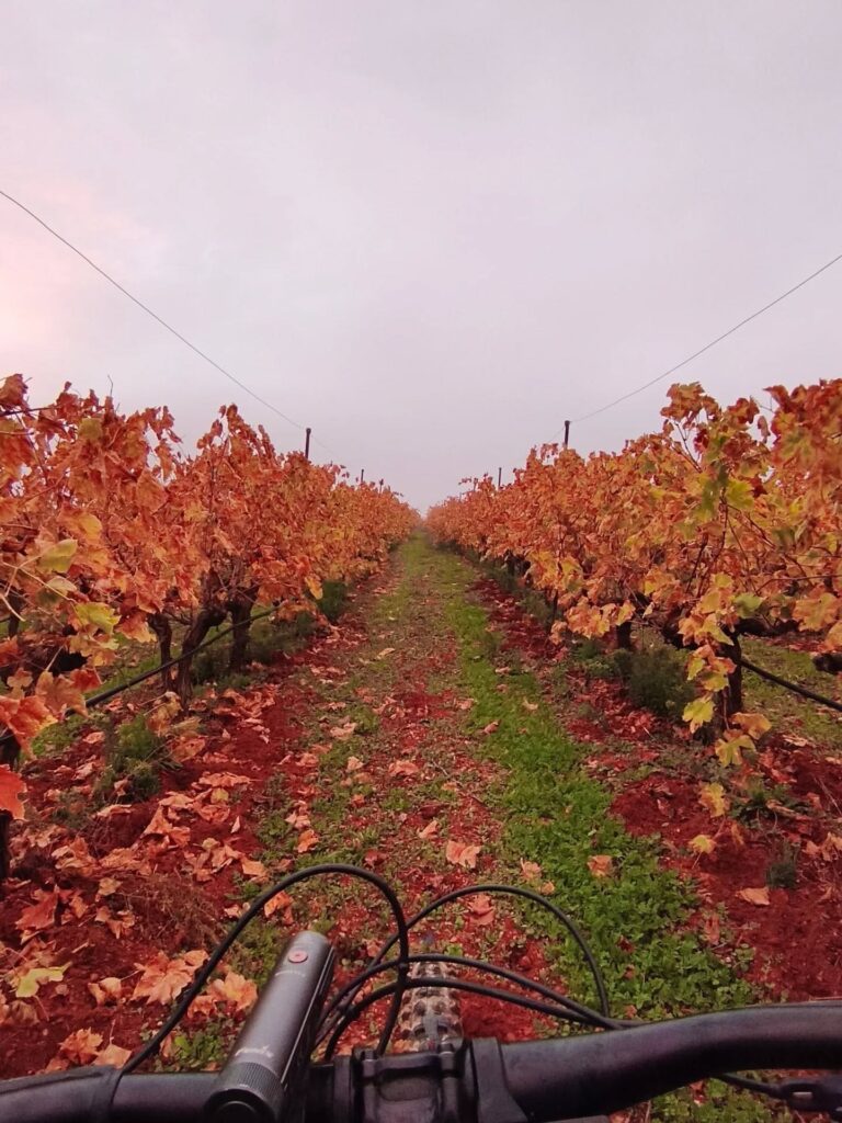 Autumn mtb ride